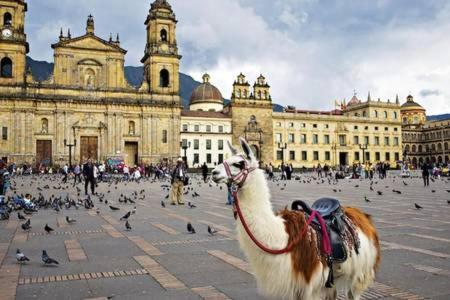 Apartasuites Bogota Romannoti エクステリア 写真